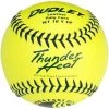 Dudley 12" USSSA WT 12 Thunder Heat Fastpitch Softballs (Dozen): 4U147Y -Passion Baseball 4U147Y